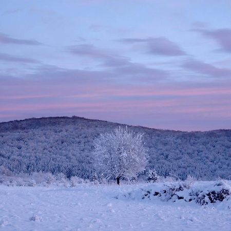 Peace Valley - Dolina Mira Janja Gora Bagian luar foto