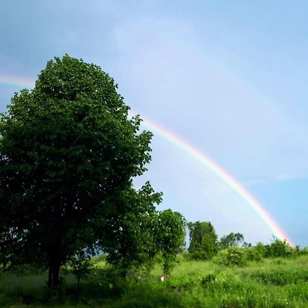 Peace Valley - Dolina Mira Janja Gora Bagian luar foto