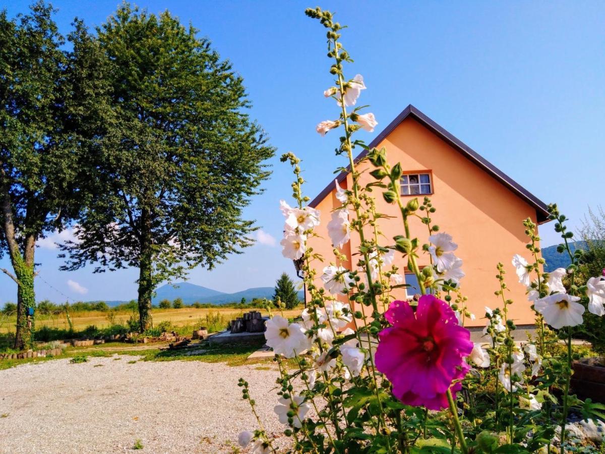 Peace Valley - Dolina Mira Janja Gora Bagian luar foto