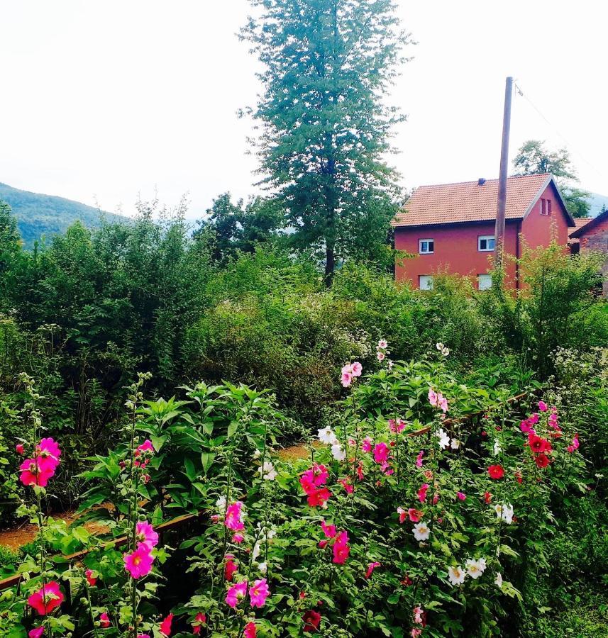 Peace Valley - Dolina Mira Janja Gora Bagian luar foto