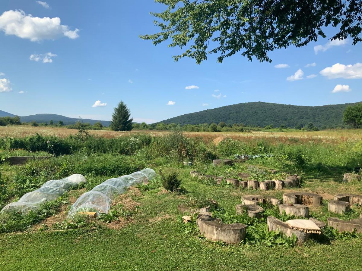 Peace Valley - Dolina Mira Janja Gora Bagian luar foto