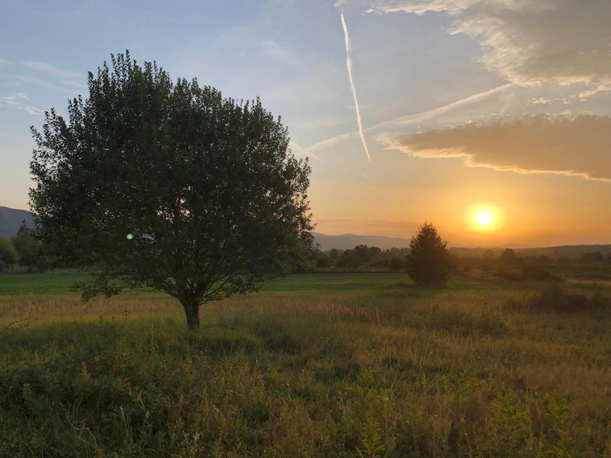 Peace Valley - Dolina Mira Janja Gora Bagian luar foto