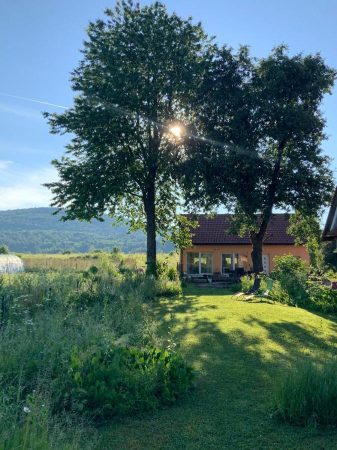 Peace Valley - Dolina Mira Janja Gora Bagian luar foto