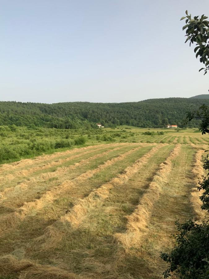 Peace Valley - Dolina Mira Janja Gora Bagian luar foto