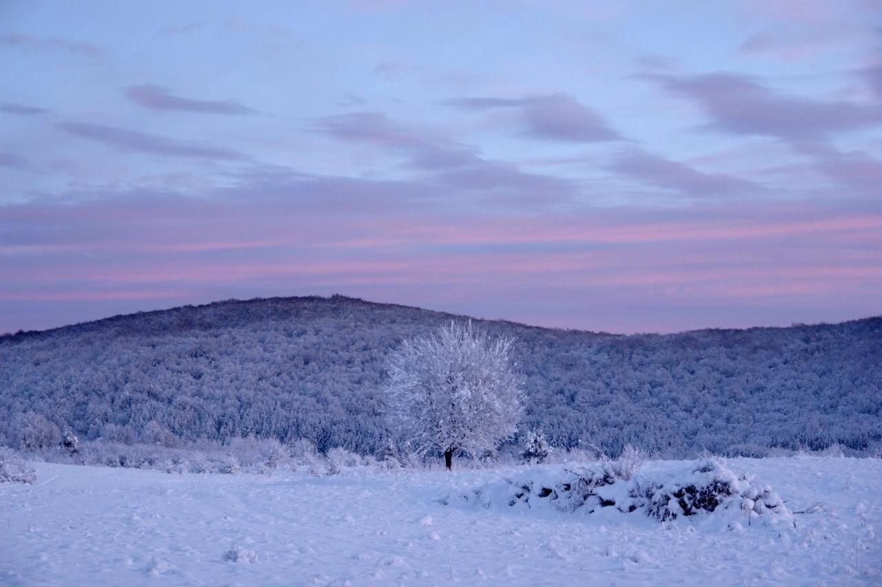 Peace Valley - Dolina Mira Janja Gora Bagian luar foto