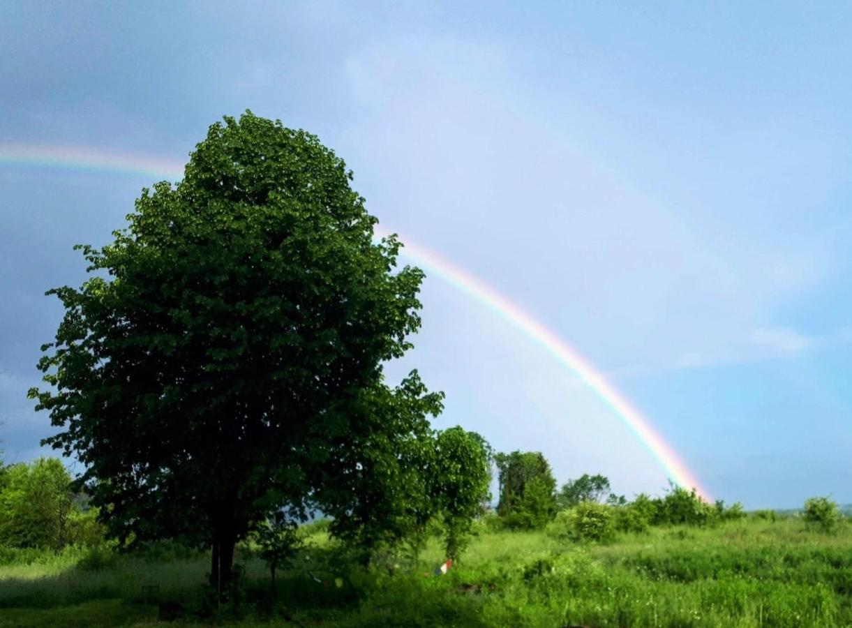 Peace Valley - Dolina Mira Janja Gora Bagian luar foto