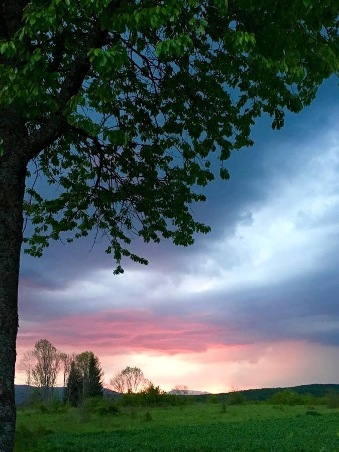 Peace Valley - Dolina Mira Janja Gora Bagian luar foto